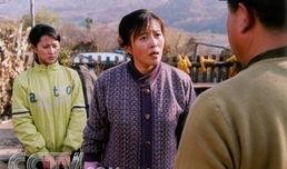 所有东北农村电视剧,描绘乡土风情，传承民俗文化