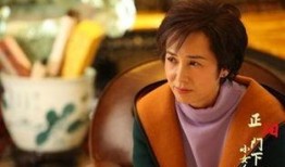 小女人电视剧,都市奋斗记