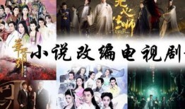 电视剧小说,宫廷权谋与爱恨情仇